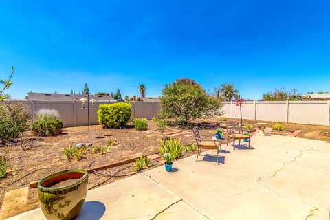 Delphinium, MORENO VALLEY, CA 92553