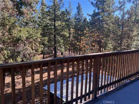 Pine, SUGARLOAF, CA 92386