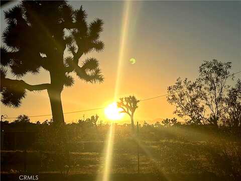 Gibson, JOSHUA TREE, CA 92252