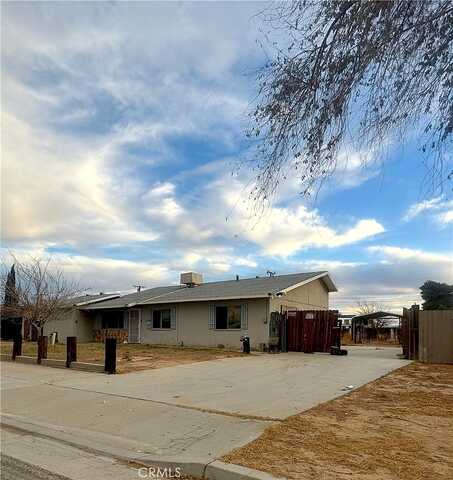 Joshua, BORON, CA 93516