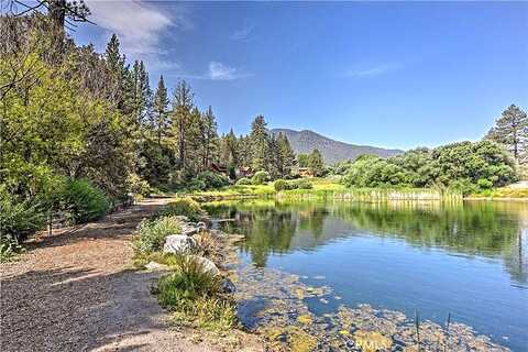 Woodland, PINE MOUNTAIN CLUB, CA 93222