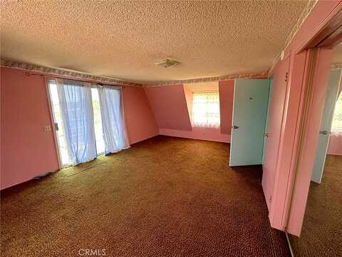 Lupin, ANZA, CA 92539