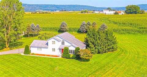 Shady, TAMAQUA, PA 18252