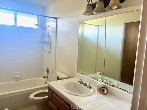 Daffodil, SQUAW VALLEY, CA 93675