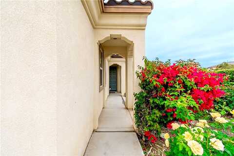 Bonica, LAKE ELSINORE, CA 92532