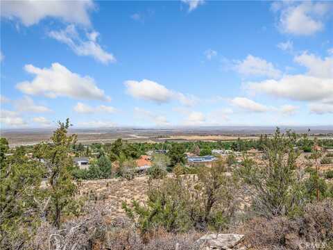 157Th, LLANO, CA 93544