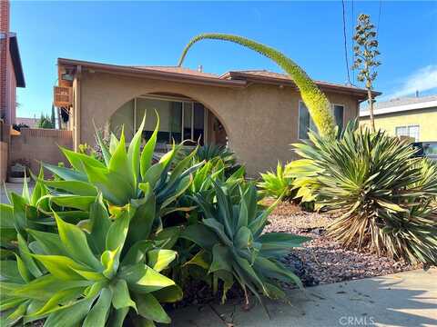 Island, WILMINGTON, CA 90744