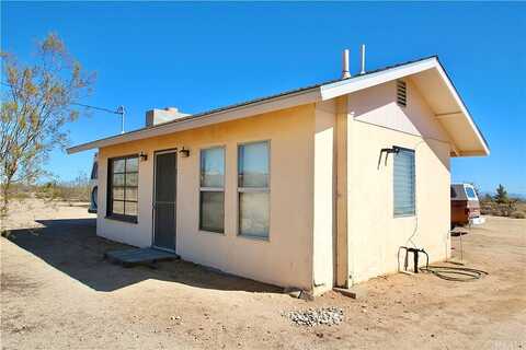 Condalia, YUCCA VALLEY, CA 92284