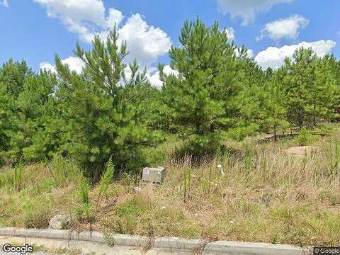 Apostle, FAIRBURN, GA 30213