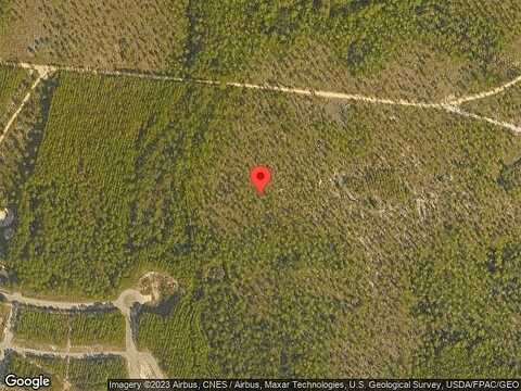 Needle Cast, INLET BEACH, FL 32461