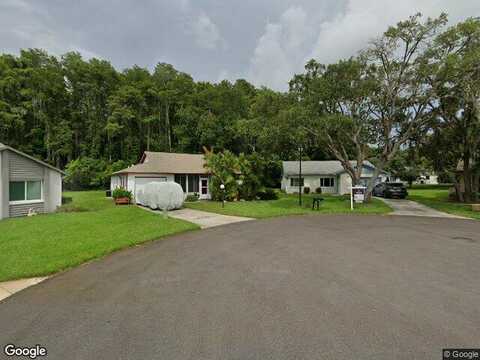 Yellow Birch, NEW PORT RICHEY, FL 34654