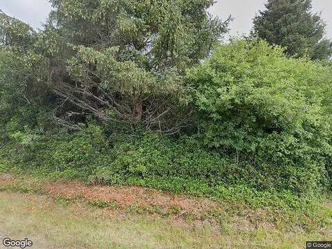 Wynoochee, OCEAN SHORES, WA 98569