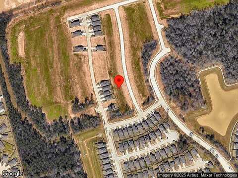 Scarlet Yaupon, CONROE, TX 77301