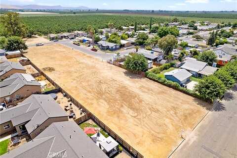 Camelia, FARMERSVILLE, CA 93223