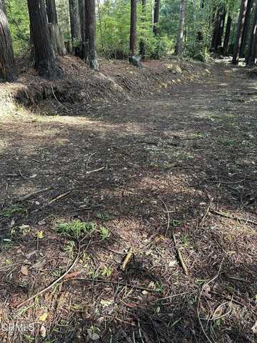 Redwood Springs, FORT BRAGG, CA 95437