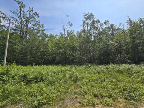 Iroquois Trail, Gaylord, MI 49735