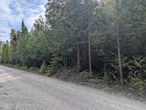 V/L 1.5 ac Lappan Road, Alpena, MI 49707