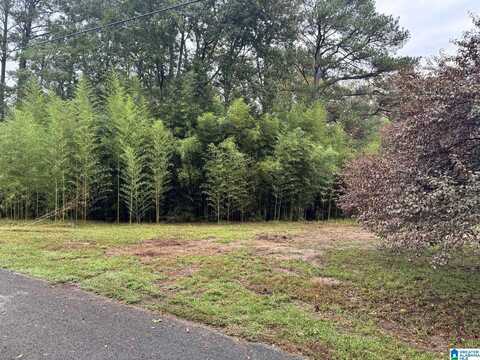 159 BRANDY LANE, MULGA, AL 35118