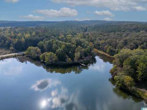 2560 JOE LEE ROAD, TALLADEGA, AL 35160