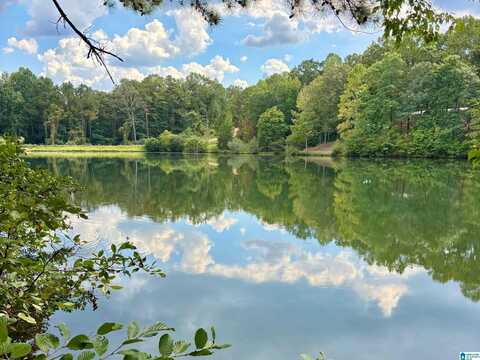 0 LAKESIDE DRIVE, ROANOKE, AL 36274