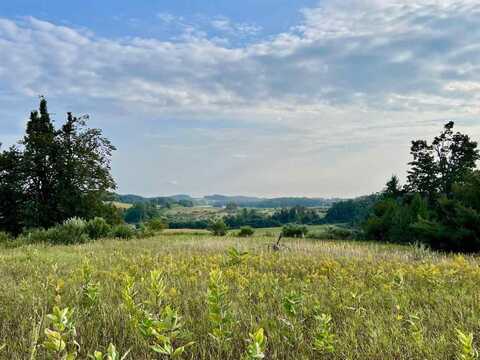 00 SKINNER ROAD, ELLSWORTH, MI 49729