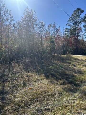 TBD Apple Valley Rd., Loris, SC 29569