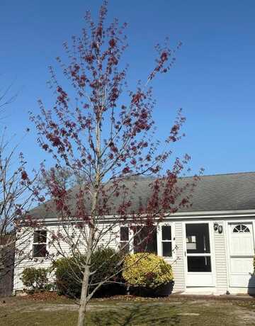 4 Summer Street, Dennis Port, MA 02639