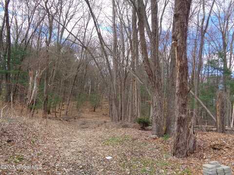 L17.12 Helderberg Avenue, Schenectady, NY 12306