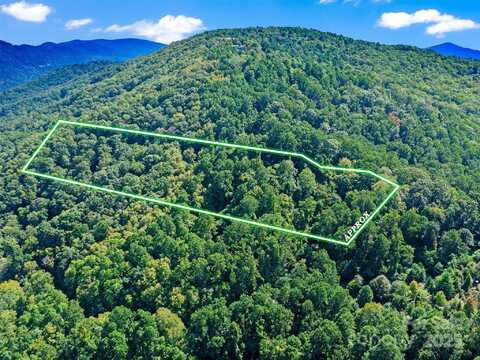 125 Floribunda Path lot: 8A, Asheville, NC 28803