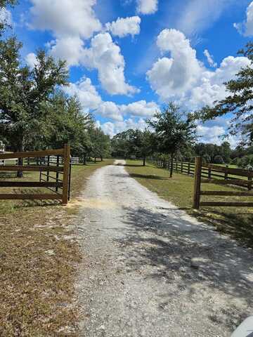 381 398th St, Horseshoe Beach, FL 32648