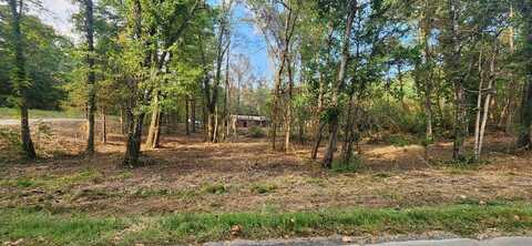 252 Beatrice Court, Ranger, GA 30734