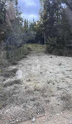 80 Ac N Co Road 415, Mc Millan, MI 49853