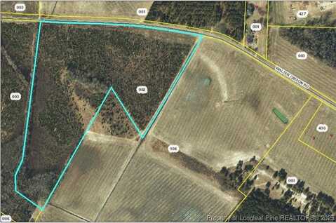Walter Gibson Road, Red Springs, NC 28377