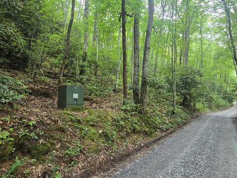 Lt 7 Buck Knob, Cullowhee, NC 28723