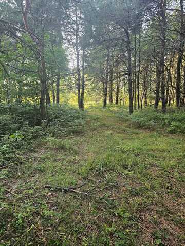 15410 Johnson Road, Kaleva, MI 49645