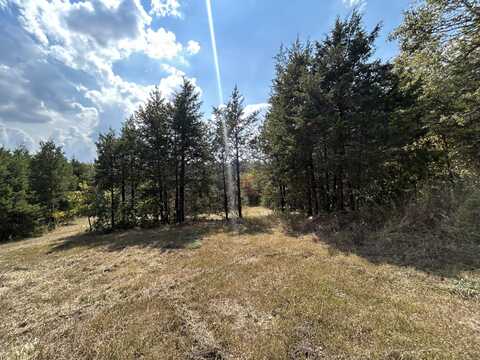 Tbd 7885 County Road 306 Pvt Drive-B, Ava, MO 65608