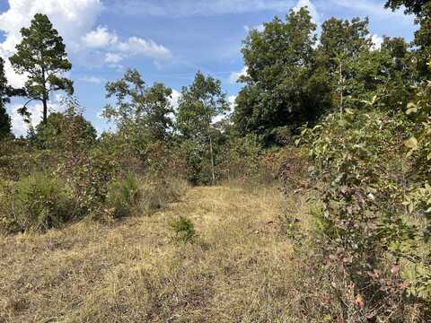 Tbd 7885 County Road 306 Pvt Drive-B, Ava, MO 65608