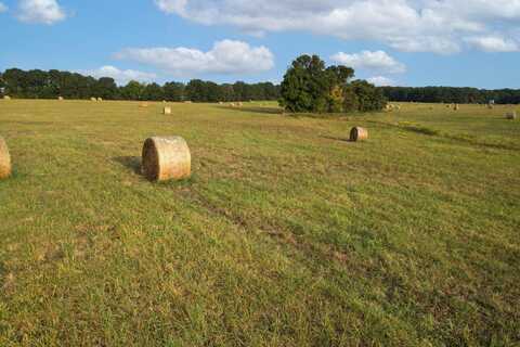 000 E Farm Road 68, Strafford, MO 65757