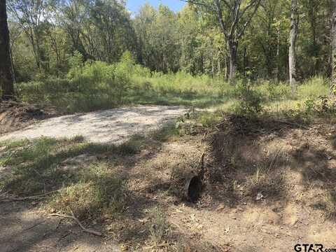 TBD County Road 1660, Mount Pleasant, TX 75455