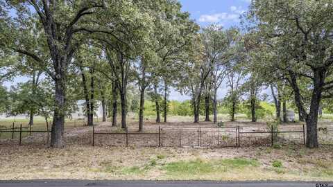 744 CR 1513, Alba, TX 75410