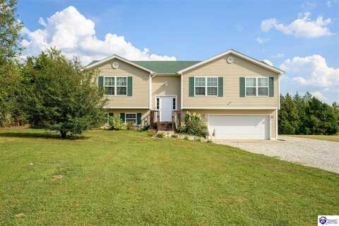 90 Charlie Pile Road, Guston, KY 40142