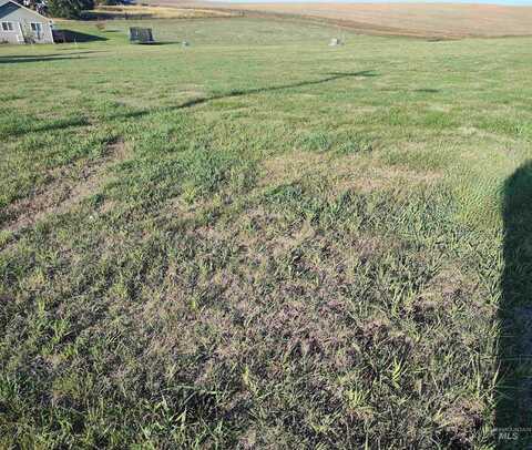 Lot 3 & 4 Beech Street, Nezperce, ID 83543