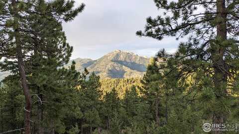 1312 Chute Rd, Golden, CO 80403