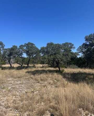 Lot 5 Other, Junction, TX 76849