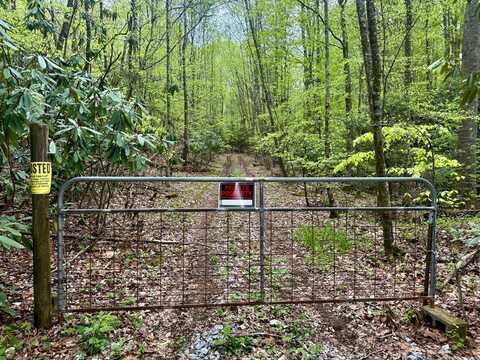 57/Ac TBD Powder Branch Rd, Elizabethton, TN 37643