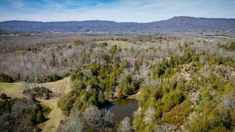 71/Ac TBD Smith Town Rd, Afton, TN 37616