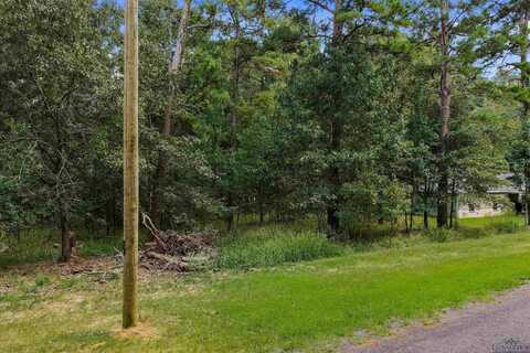 Tbd Lock Mountain Rd, Avinger, TX 75630