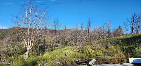 134 Davis Drive, Ruidoso, NM 88345
