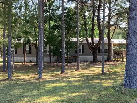 636 RV Lindley Road, Moselle, MS 39459
