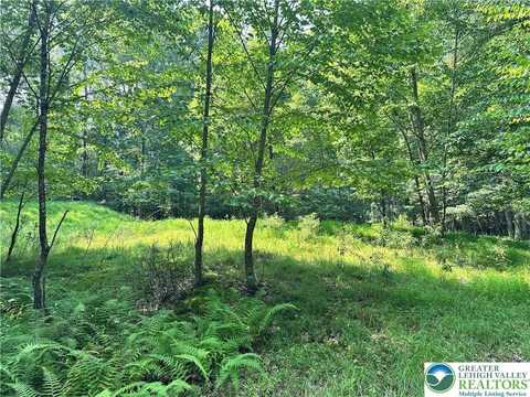 Timber Hill Road unit: 3C, Price Twp, PA 18332
